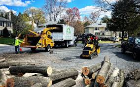 Best Lawn Renovation and Restoration  in Fullerton, PA