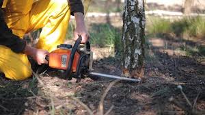 Best Lawn Watering Services  in Fullerton, PA