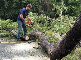 Best Leaf Removal  in Fullerton, PA