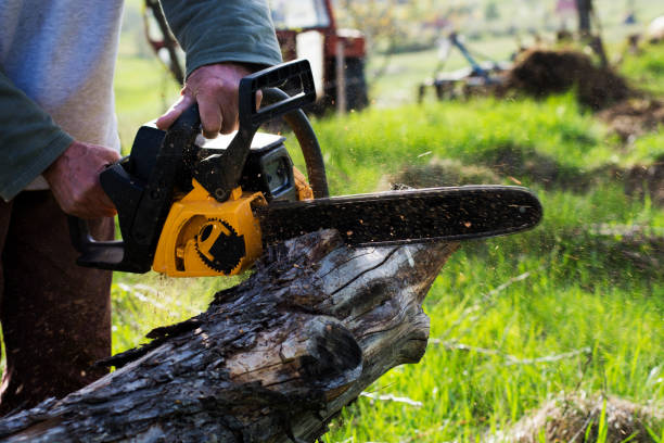 Best Lawn Mowing  in Fullerton, PA